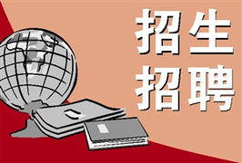 分类信息与广告信息咨询 数字化时代的精准桥梁