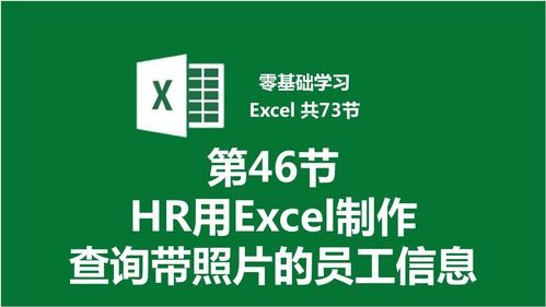 第46节 HR用Excel制作动态查询带照片的员工信息表