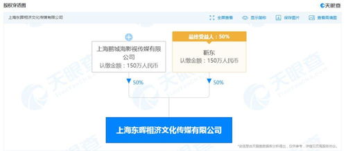 专业广告信息咨询服务 赋能企业精准营销决策