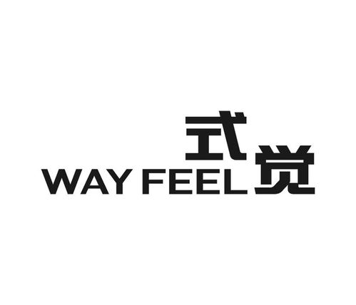 式觉 way feel商标第35类广告销售类注册与查询指南